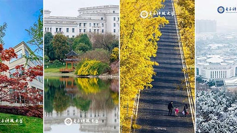 PCB线路板代理加盟，揭秘流程与关键要素