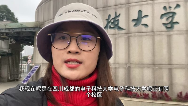 解码集成电路型号：揭秘查询技巧与要点